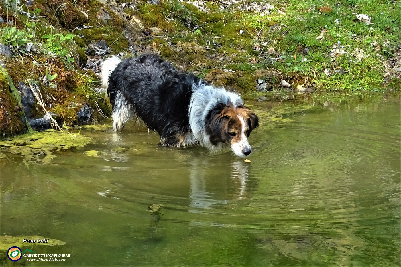 131 Acqua buona e fresca.JPG